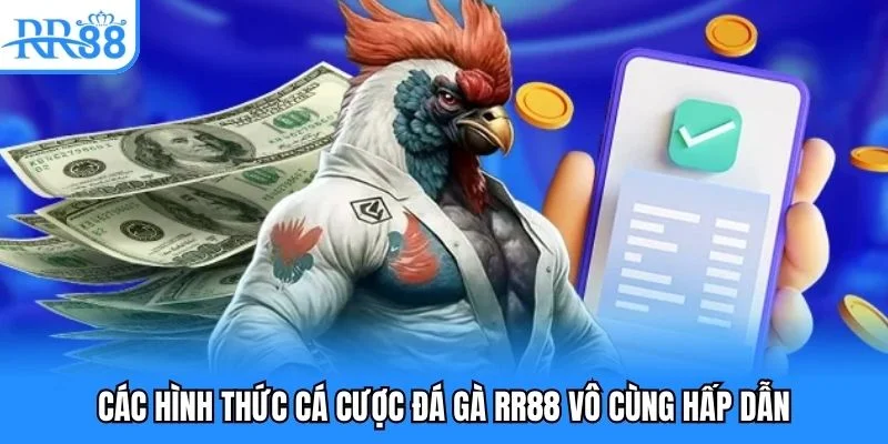 Các hình thức cá cược đá gà RR88 vô cùng hấp dẫn