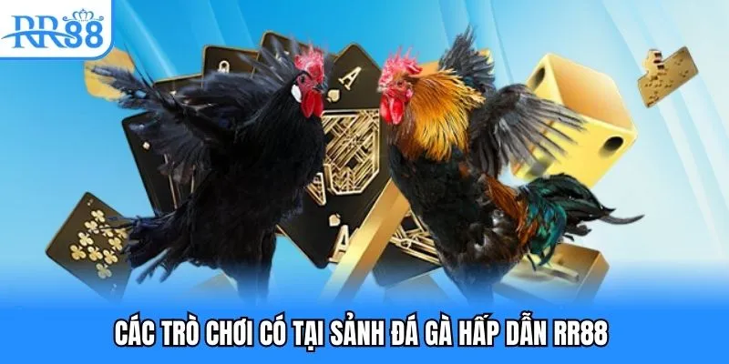 Tổng hợp các loại game tại sảnh chơi đá gà hấp dẫn RR88 